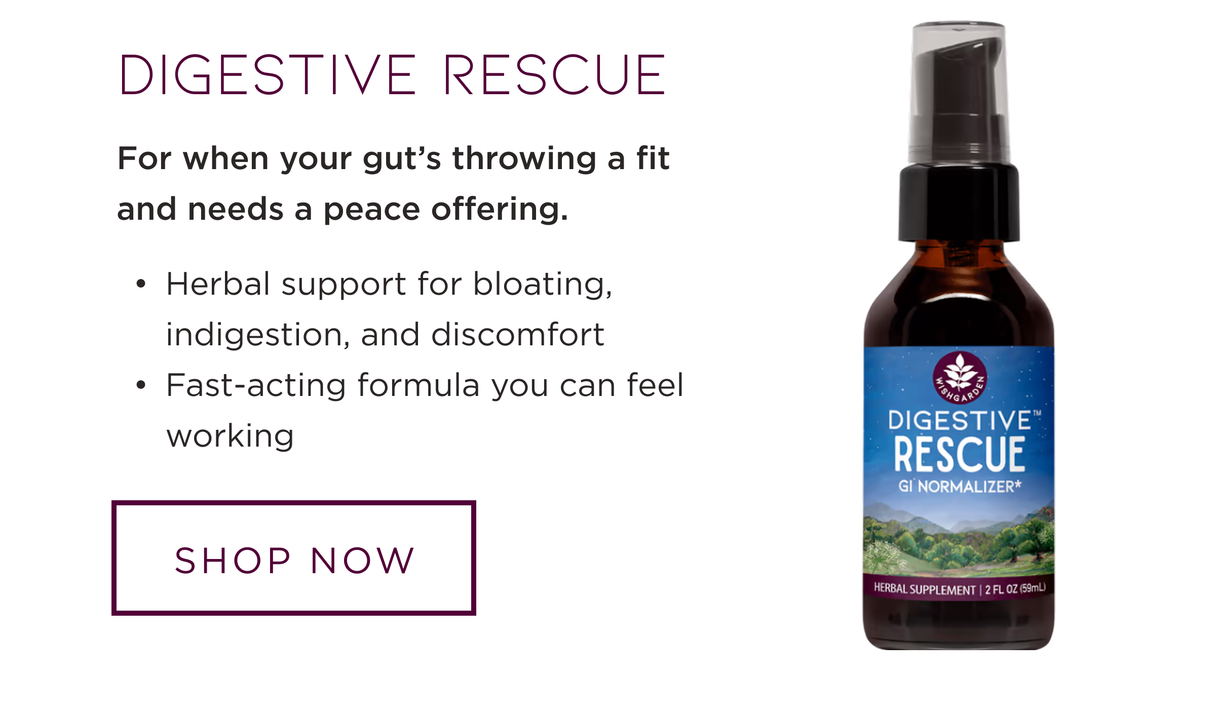 DIGESTIVE RESCUE | SHOP NOW