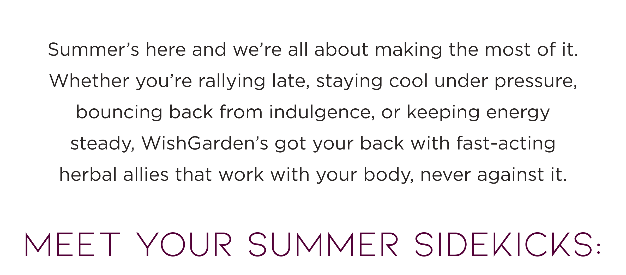 Meet your summer sidekicks: