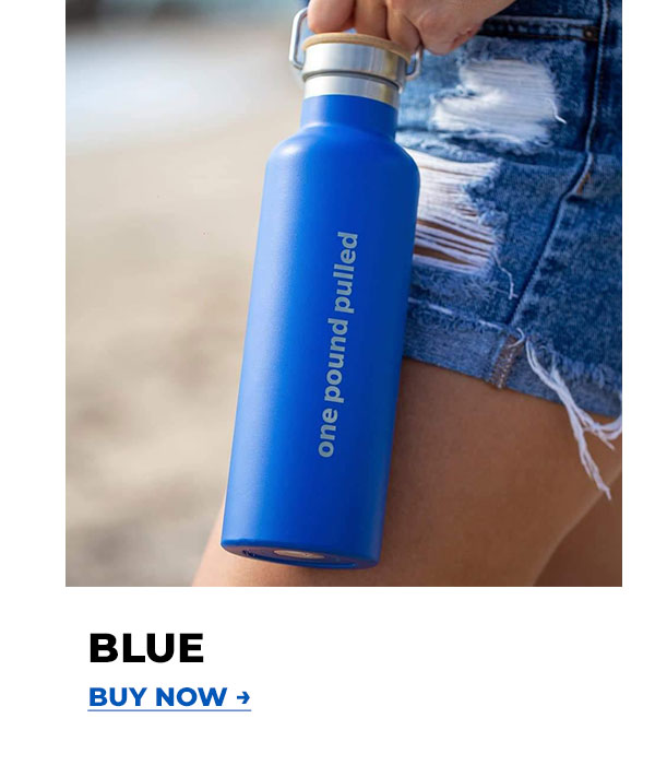 Blue Bottle. Buy Now →