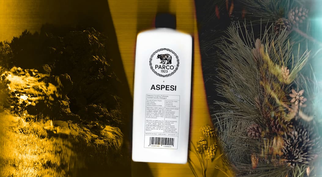 ASPESI