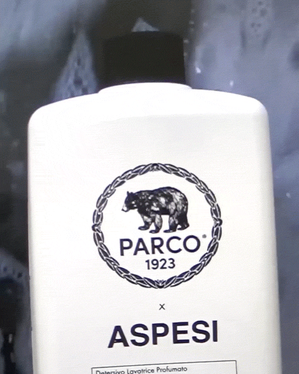 ASPESI