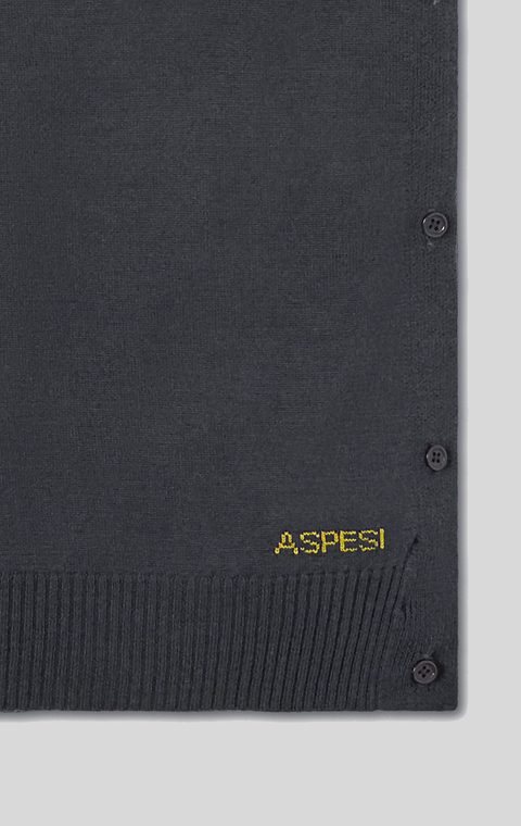 ACCESSORY