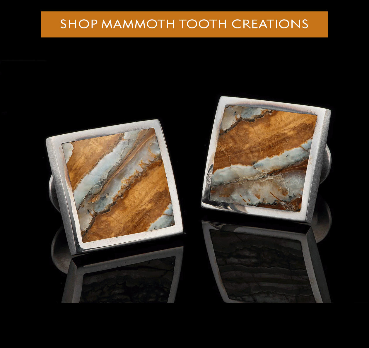 Mammoth tooth collection