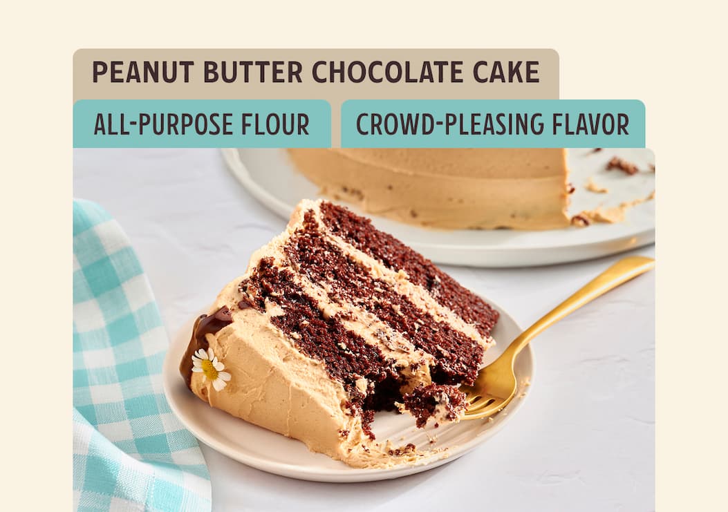 Peanut Butter Chocolate Cake
