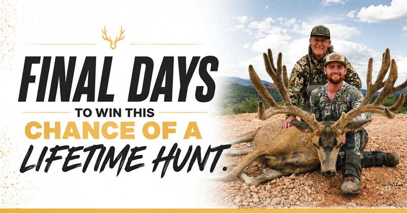 Enter to Win