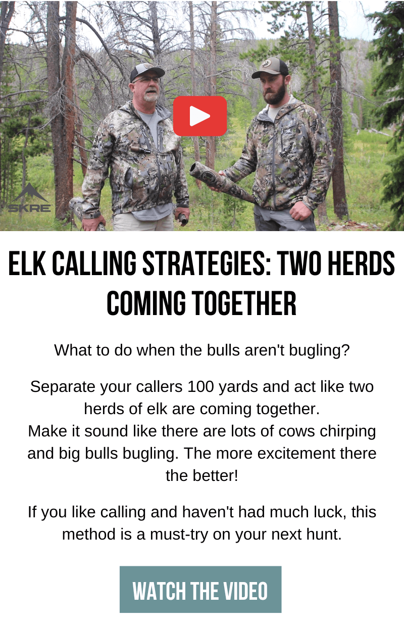 Elk Calling Strategies SKRE Gear