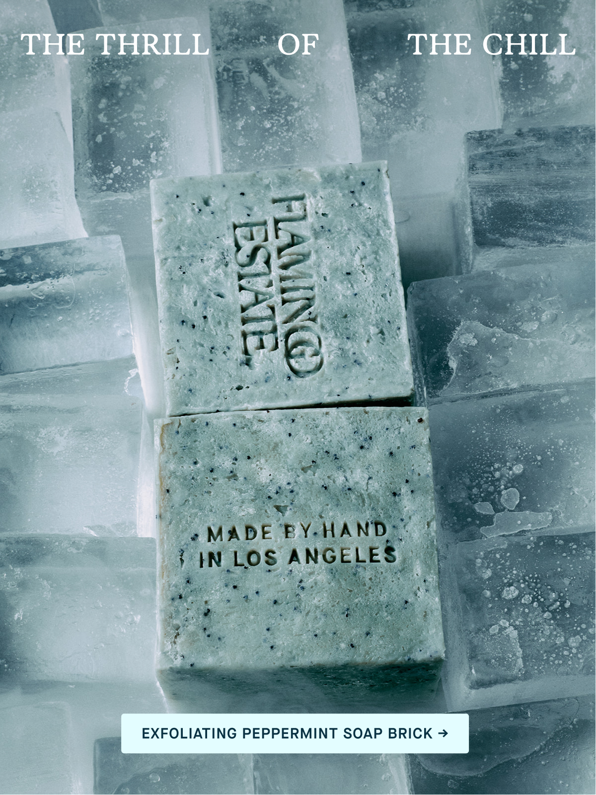 Exfoliating Peppermint Soap Brick