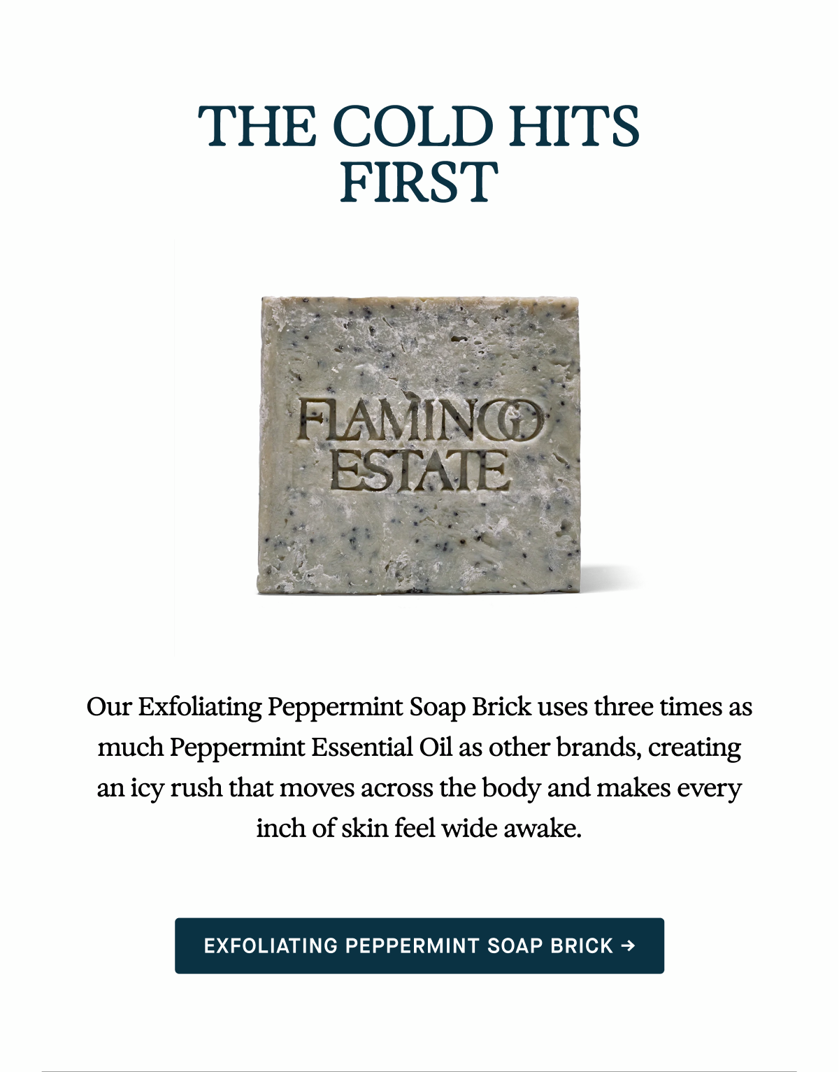Exfoliating Peppermint Soap Brick