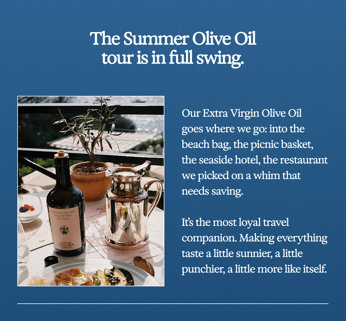 Olive Oil
