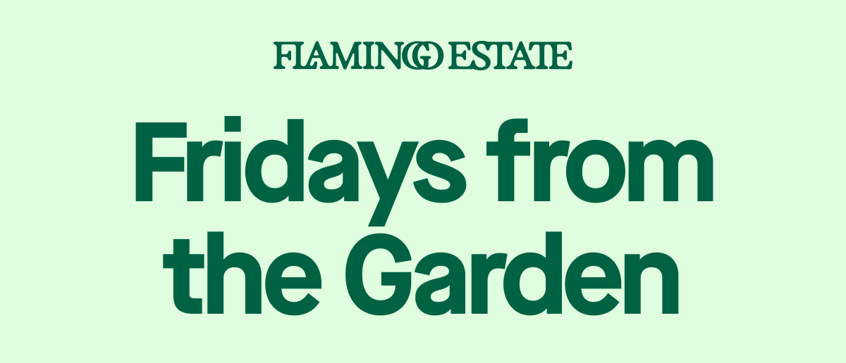 Flamingo Estate