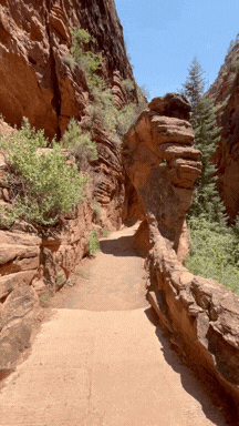Rhett hiking at Zion National Park with BEEF knife. Rhett hiking at Zion National Park with BEEF knife.