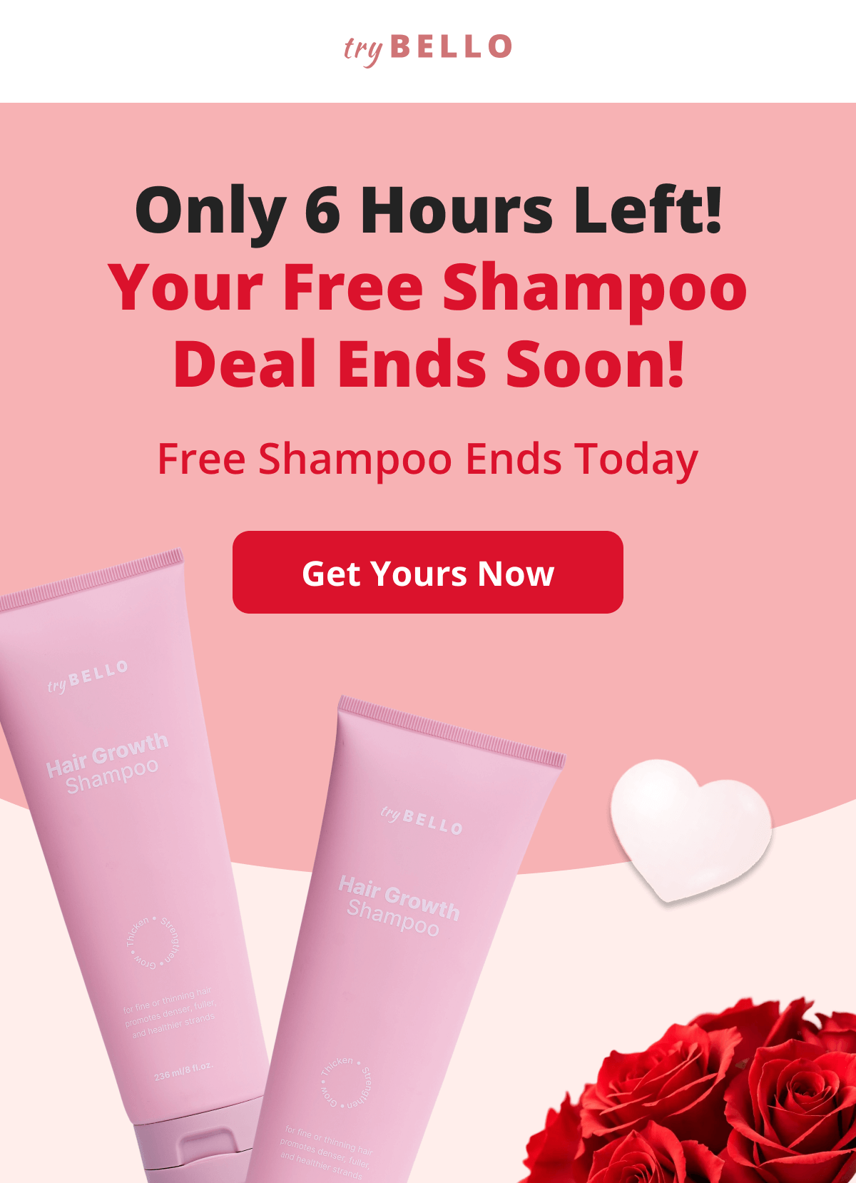 Valentine's Day Special! Treat your hair and your wallet