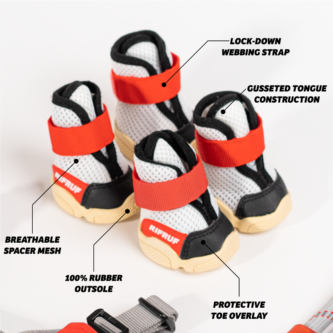 Why your dog needs the Commuter Set. Rifruf Queens