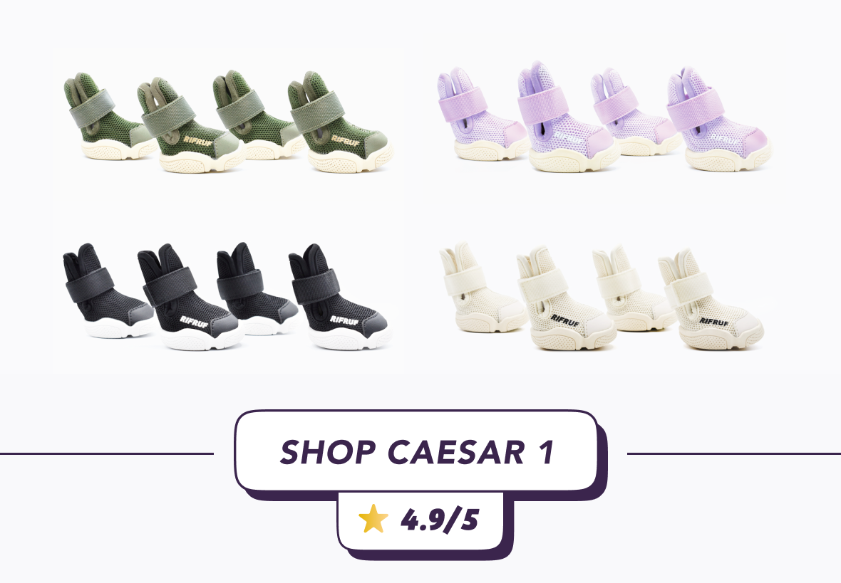 What are thoooose? 🧐 Rifruf Queens