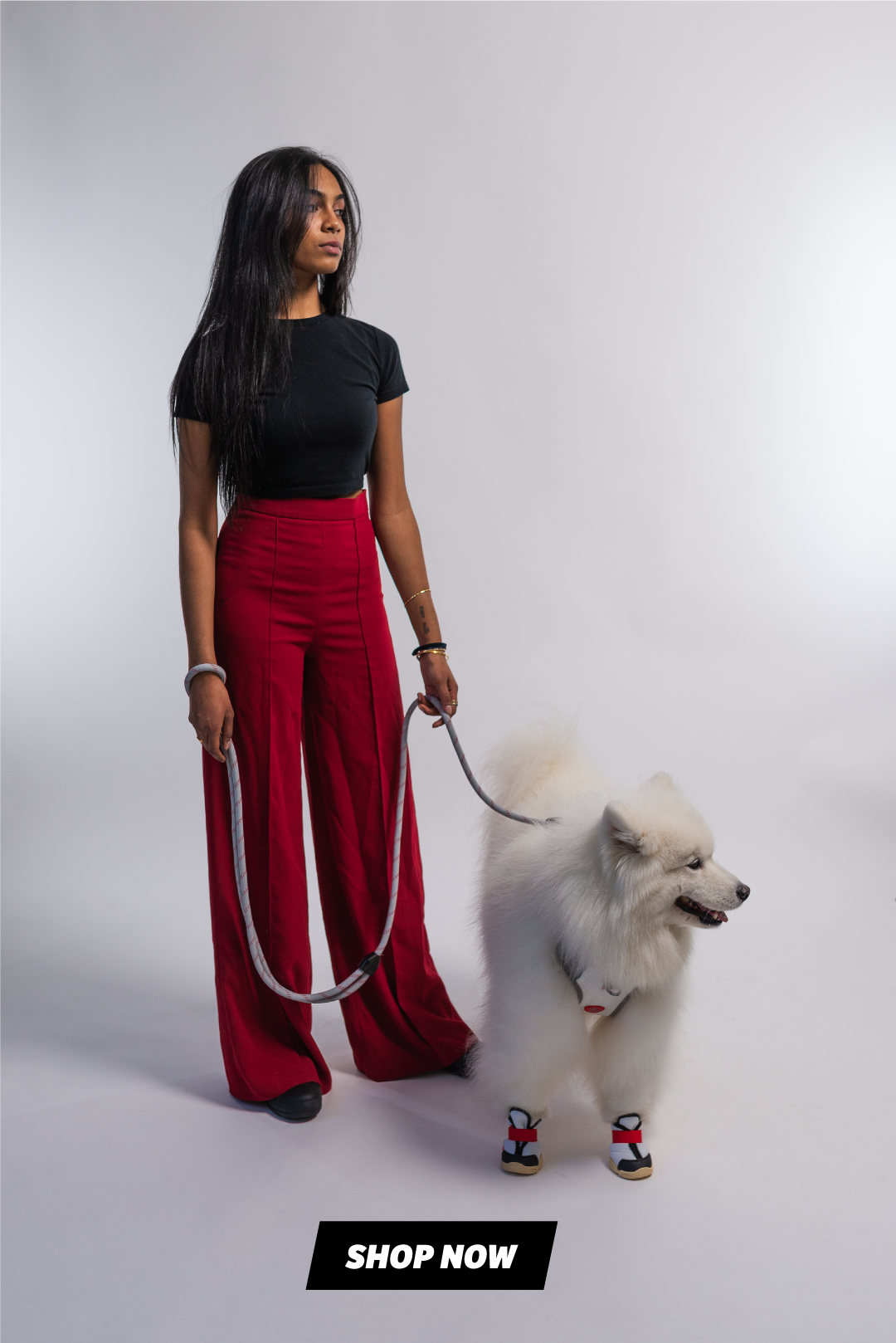 Why your dog needs the Commuter Set. Rifruf Queens