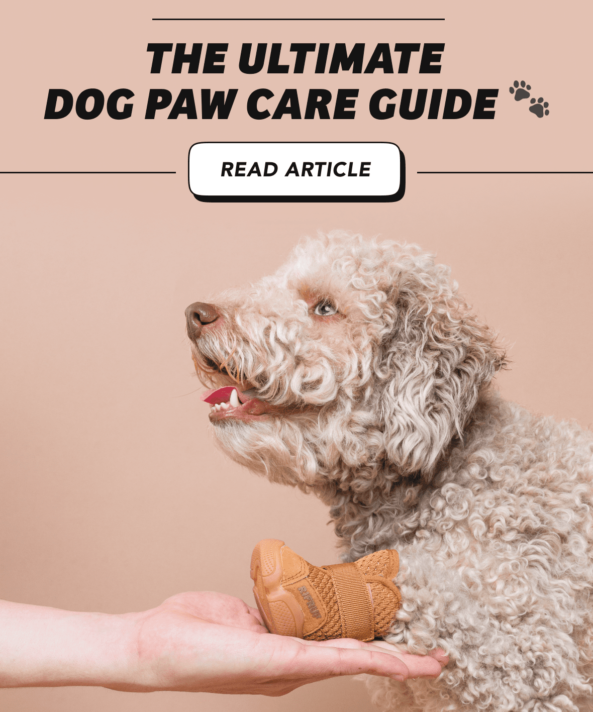 The Ultimate Dog Paw Care Guide 🐾 Rifruf Queens