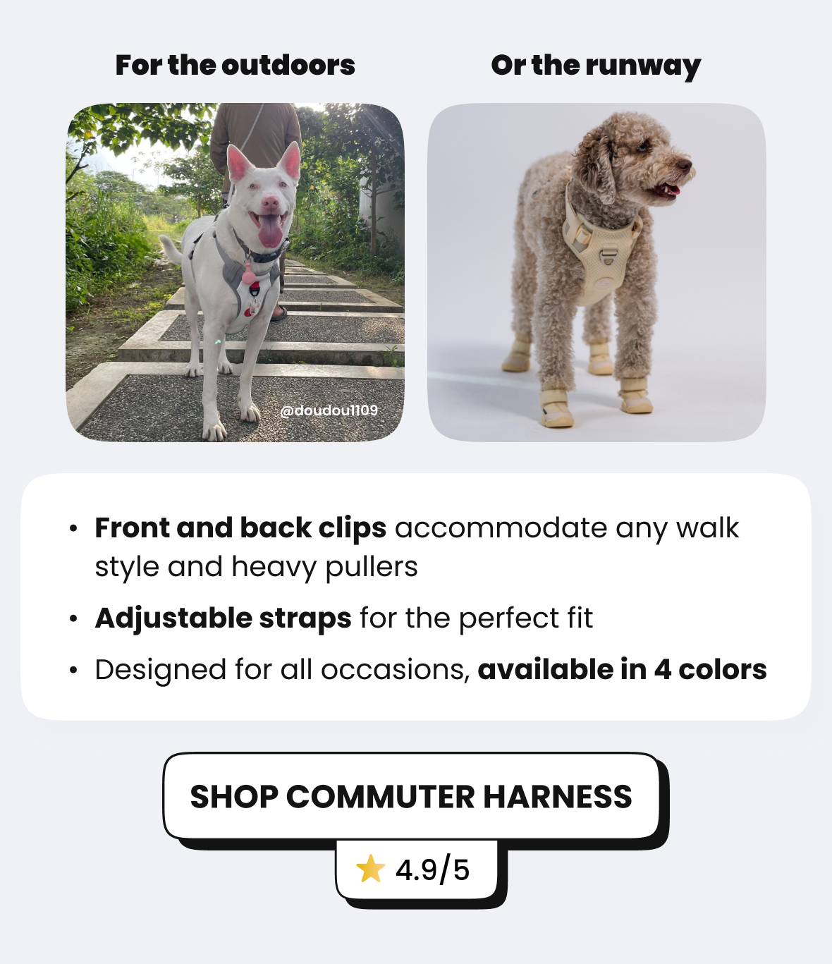 August's Product of the Month Commuter Harness Rifruf Queens