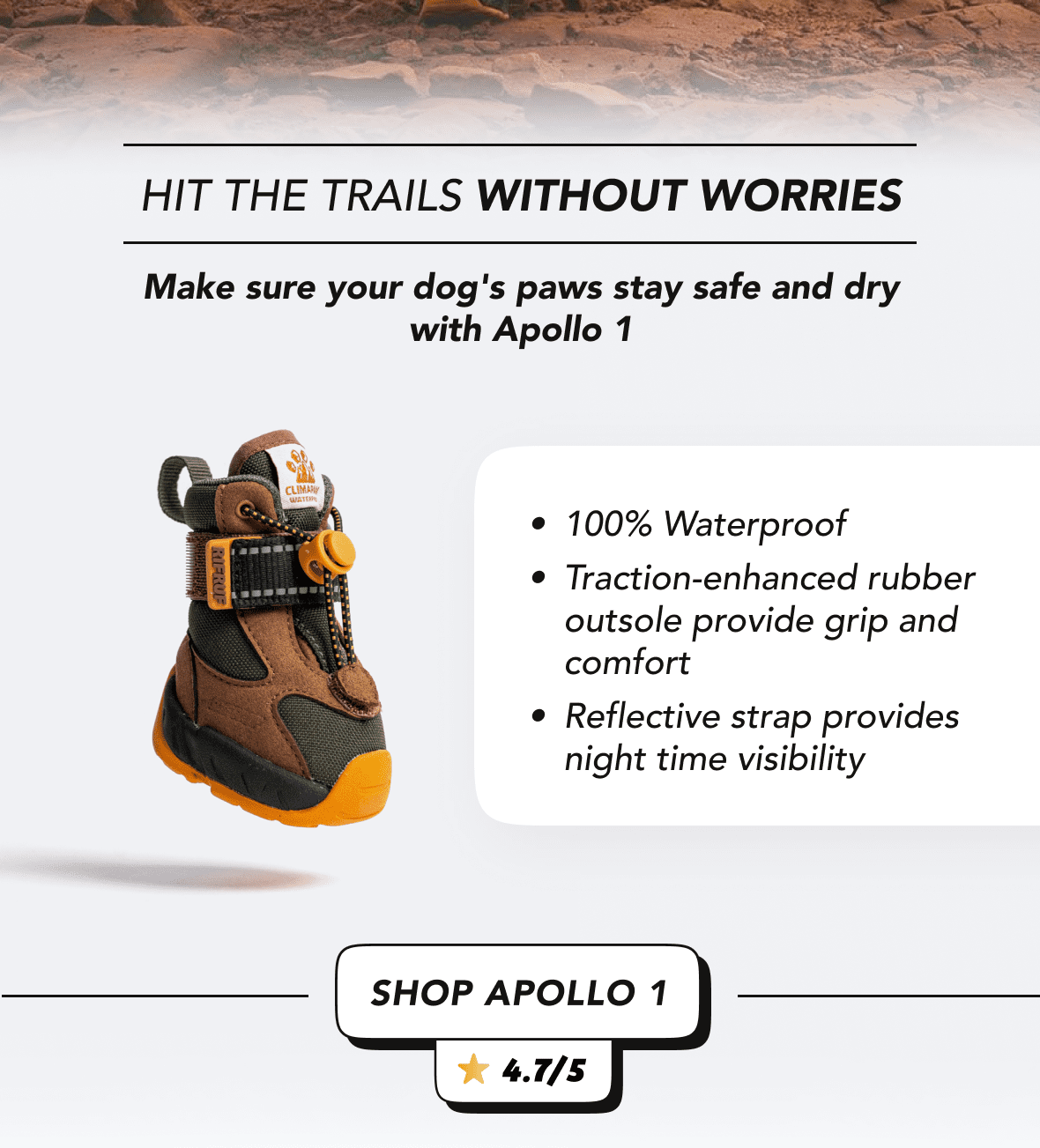 Celebrate Earth Day! 🌎 Rifruf Queens