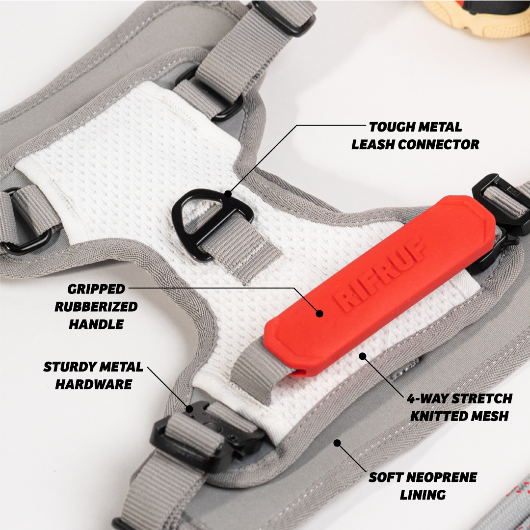 Why your dog needs the Commuter Set. Rifruf Queens