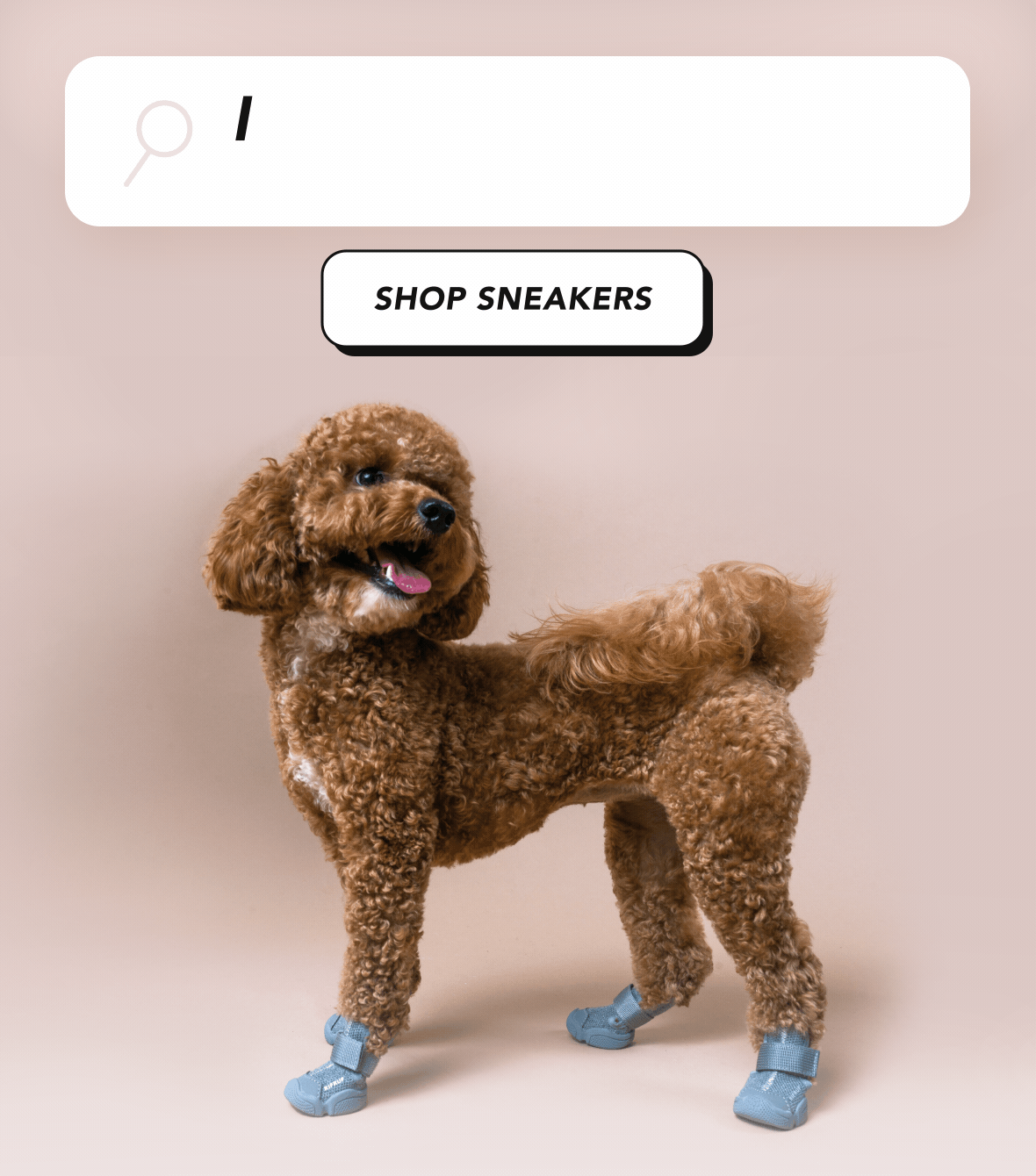 Objection Handling Why are these expensive? Rifruf Queens