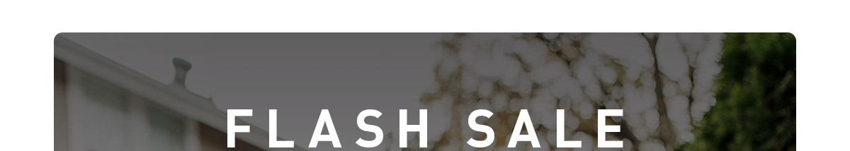 Flash Sale