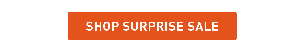 Shop Surprise Sale