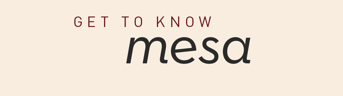 Get To Know Mesa | Includes Stand
