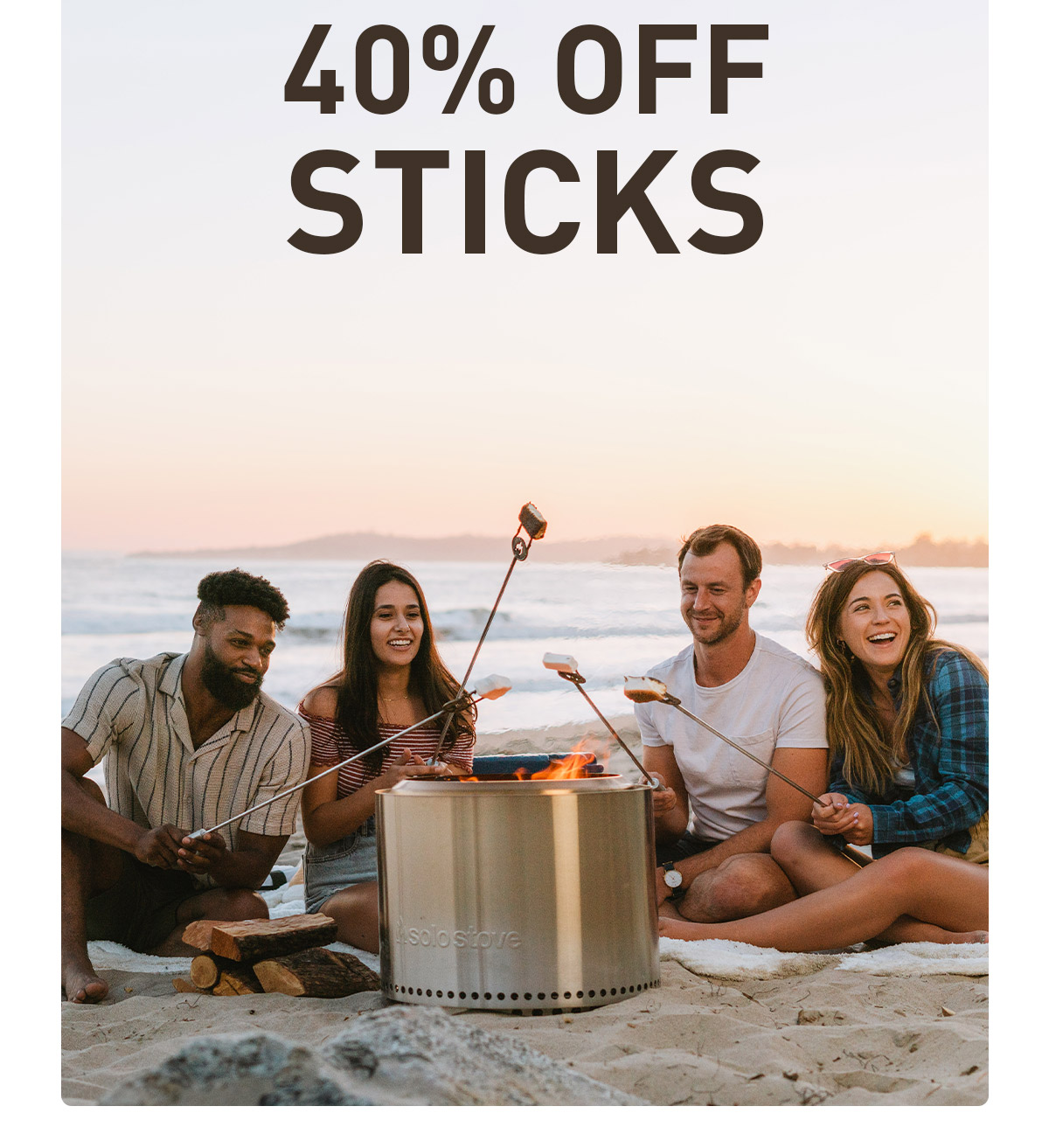 40% Off Roasting Sticks