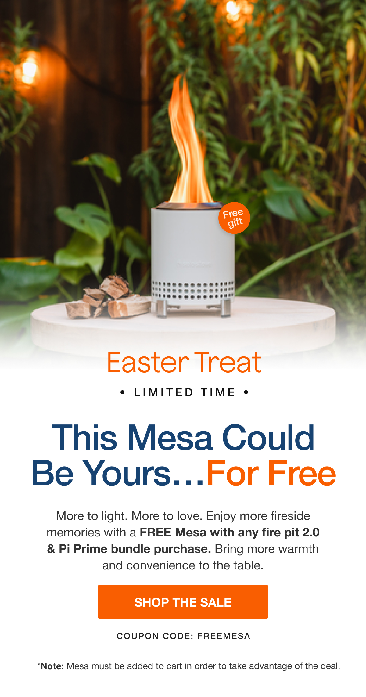 Easter Treat - Shop The Sale