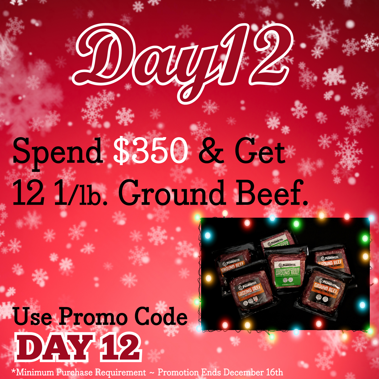 12 Days Of Christmas Blog