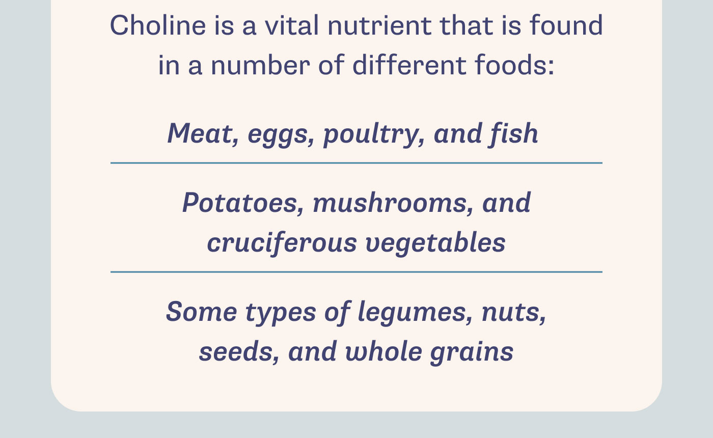 Ingredient Spotlight Ever heard of Choline? 👀 Tiny Organics