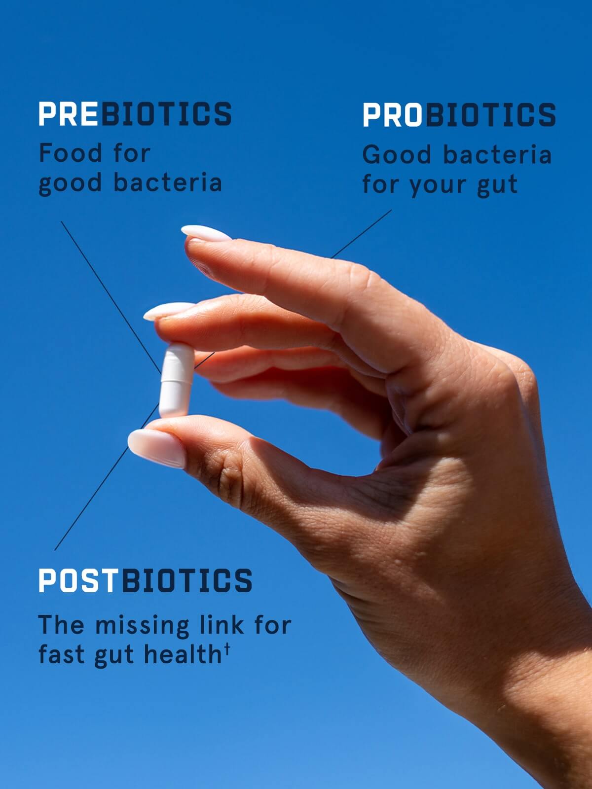 EXPRESS 3-IN-1 PROBIOTIC