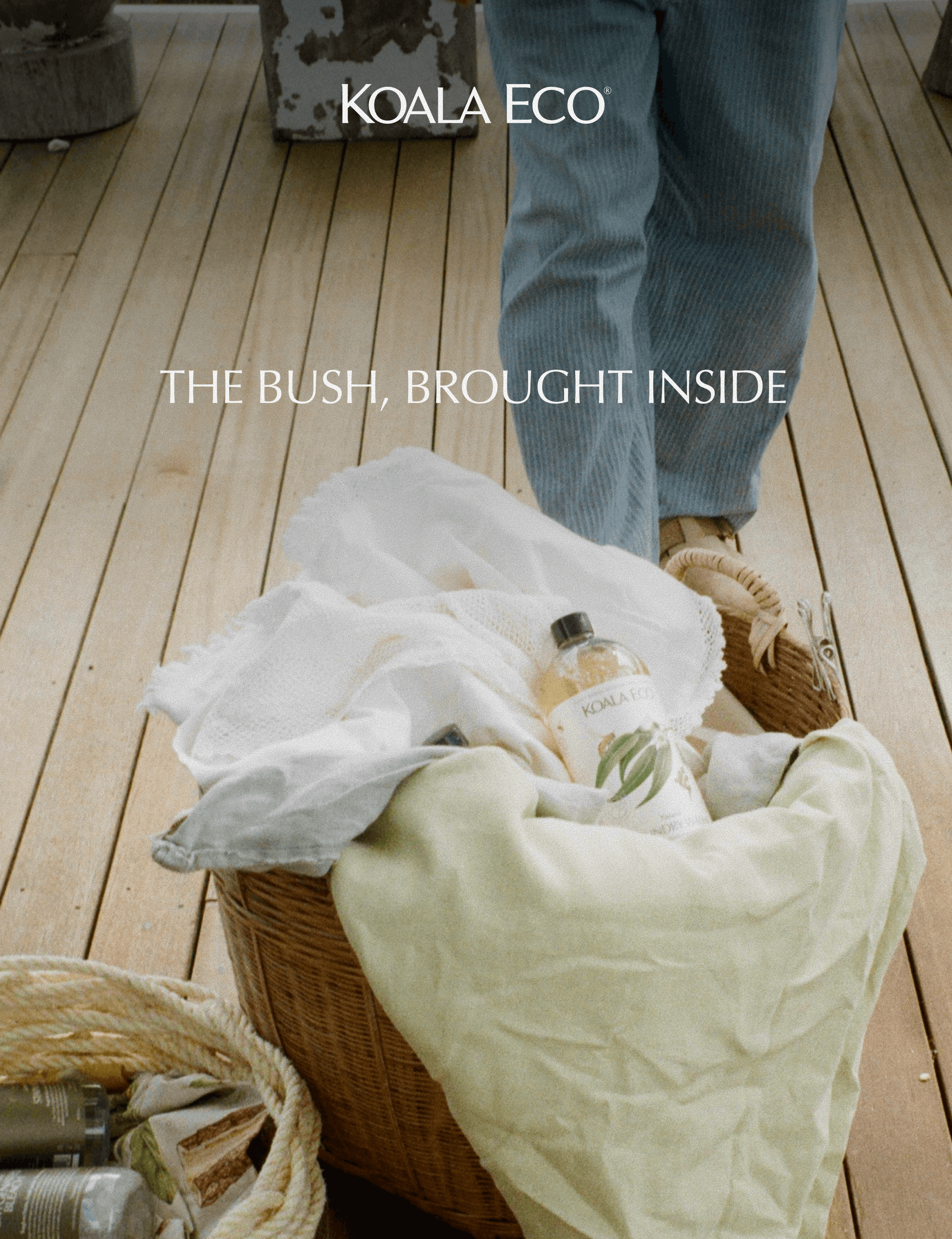 KOALA ECO: THE BUSH, BROUGHT INSIDE