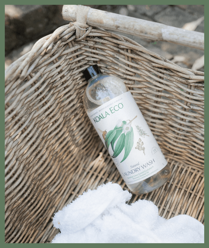 Laundry Wash