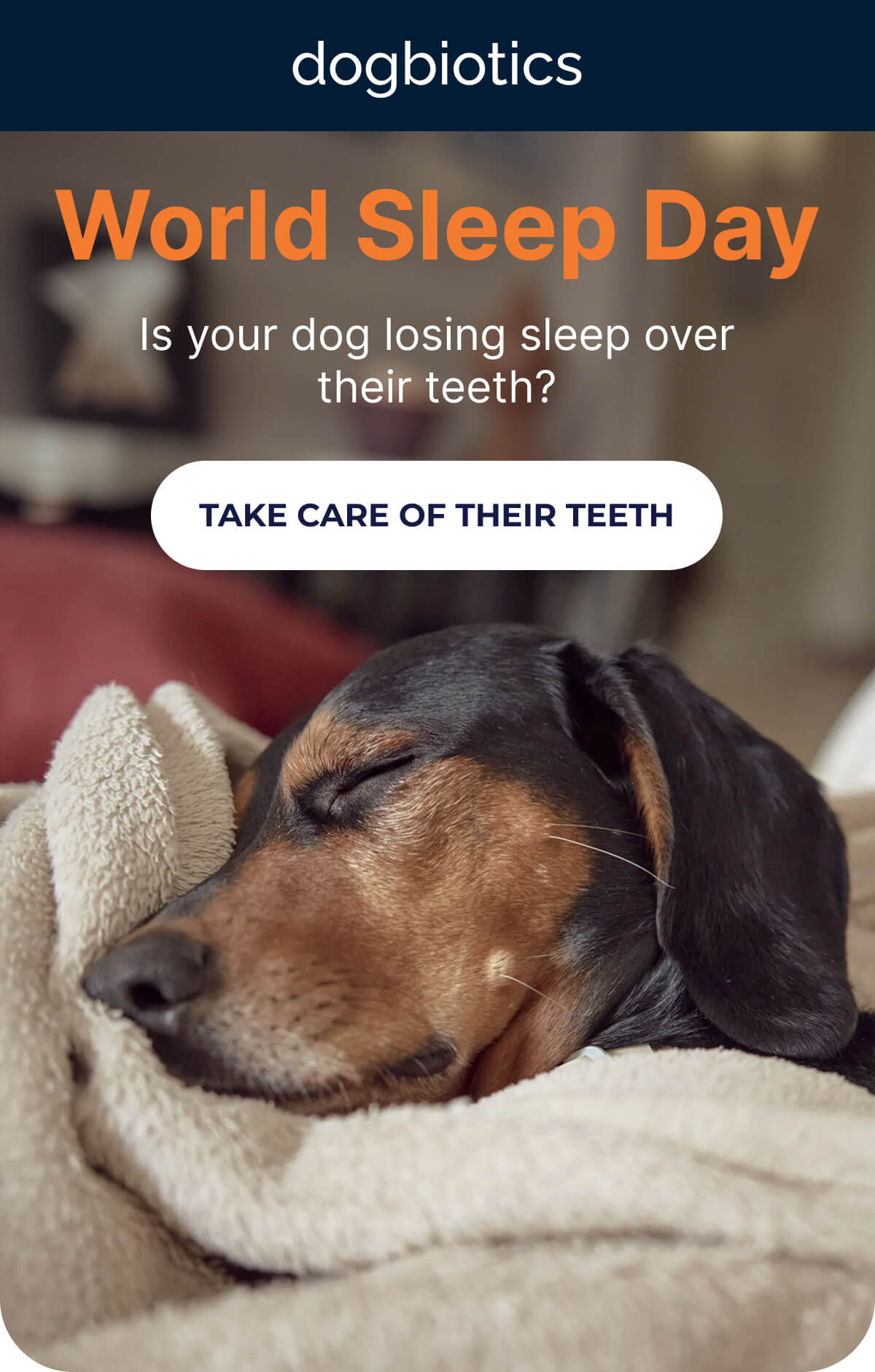World Sleep Day | Is your dog losing sleep over their teeth? | TAKE CARE OF THEIR TEETH