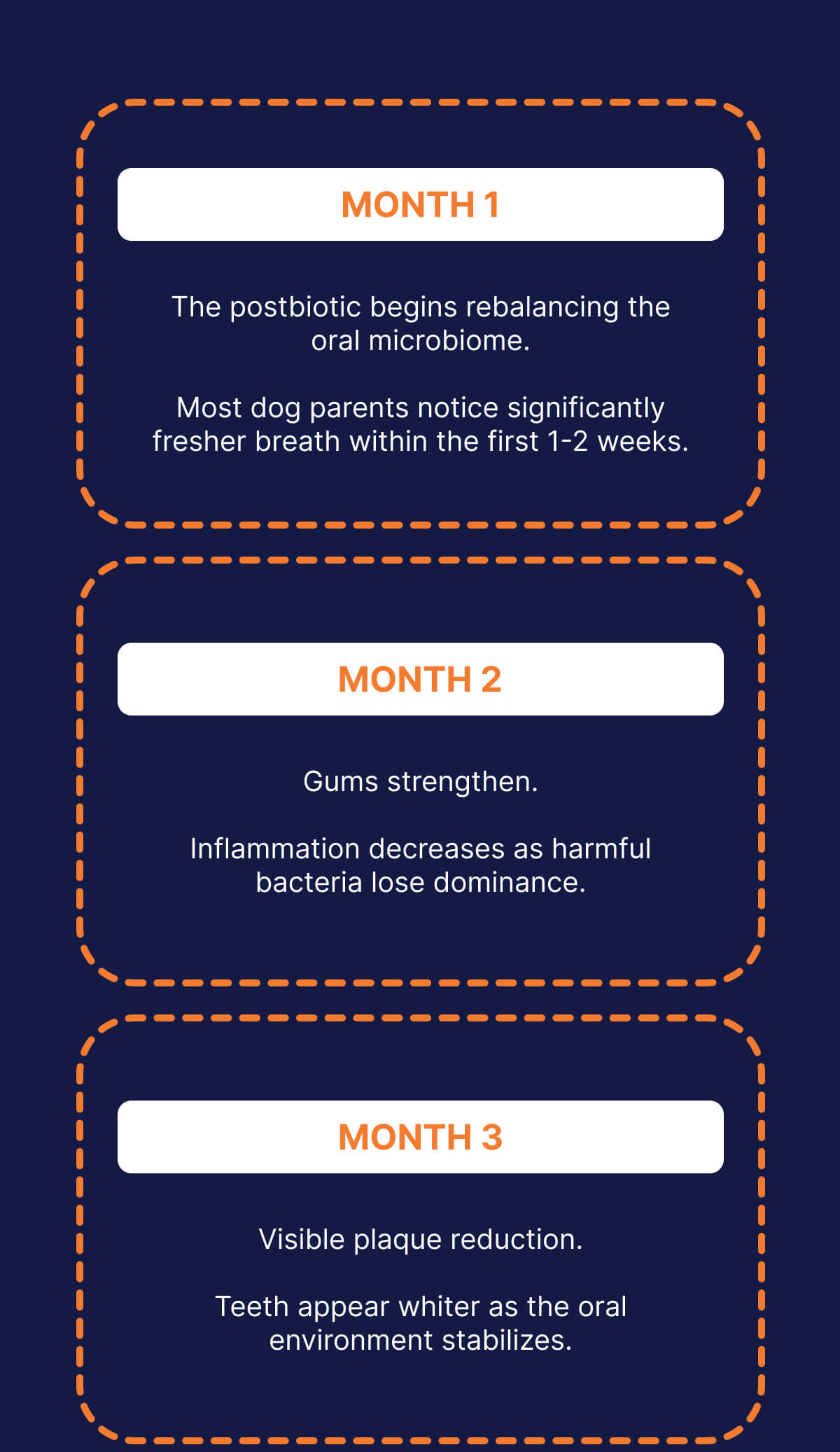 MONTH 1 The postbiotic begins rebalancing the oral microbiome.  Most dog parents notice significantly fresher breath within the first 1-2 weeks. | MONTH 2 Gums strengthen.  Inflammation decreases as harmful bacteria lose dominance.  | MONTH 3 Visible plaque reduction.  Teeth appear whiter as the oral environment stabilizes.