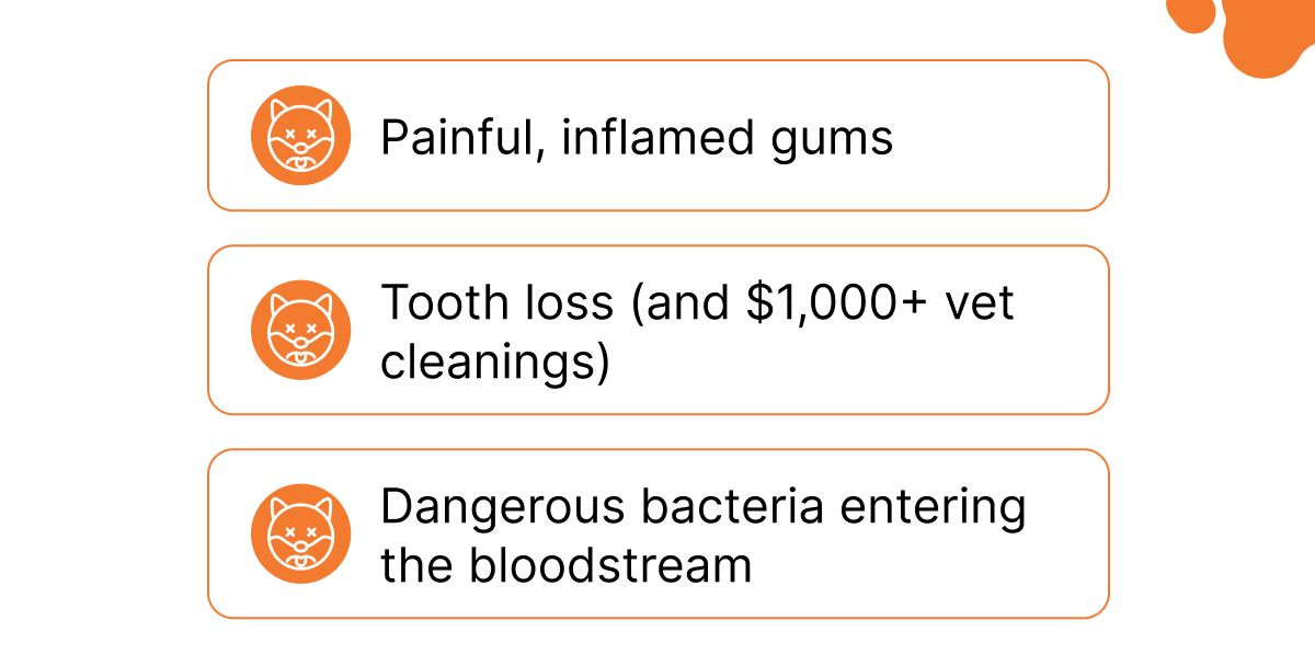 Painful, inflamed gums | Tooth loss (and $1,000+ vet cleanings) | Dangerous bacteria entering the bloodstream