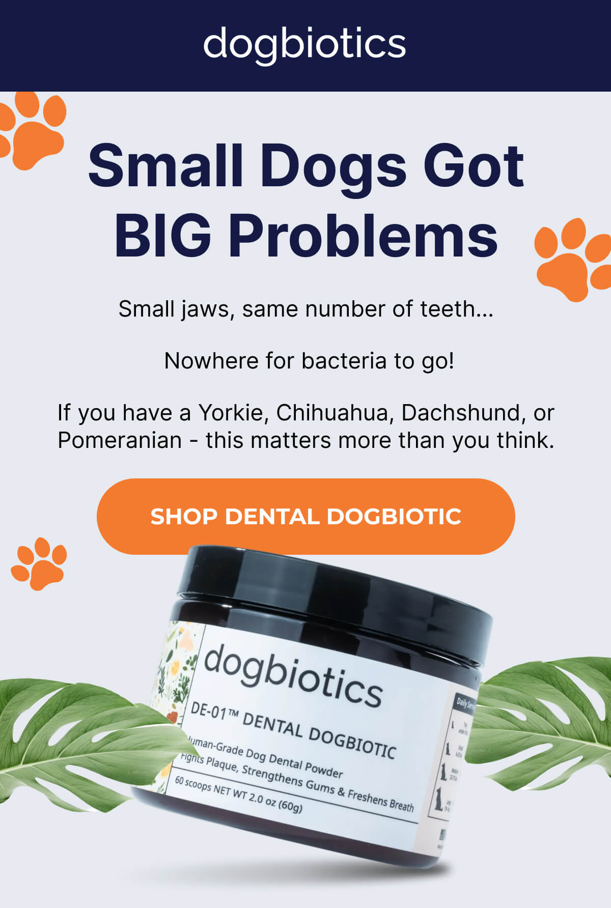 Small dogs got BIG problems | Small jaws, same number of teeth…  Nowhere for bacteria to go! If you have a Yorkie, Chihuahua, Dachshund, or Pomeranian - this matters more than you think. | SHOP DENTAL DOGBIOTIC