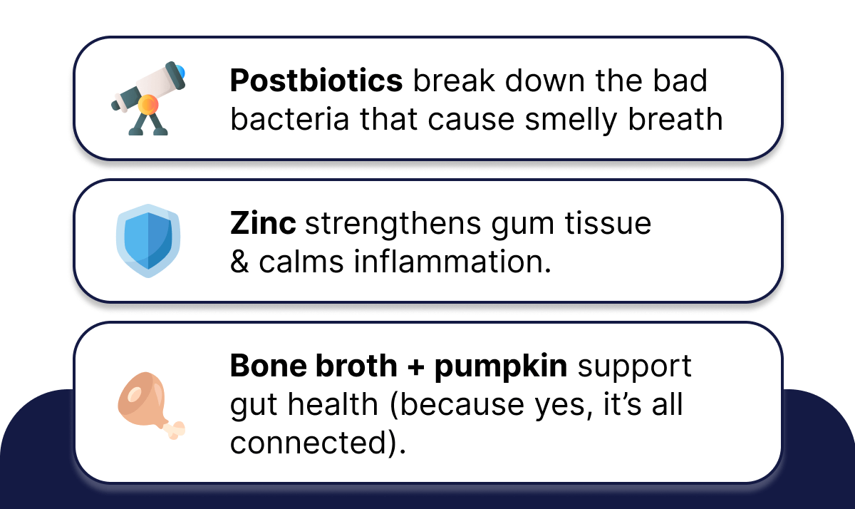 Postbiotics break down the bad bacteria that cause smelly breath | Zinc strengthens gum tissue  & calms inflammation. | Bone broth + pumpkin support gut health (because yes, it's all connected).