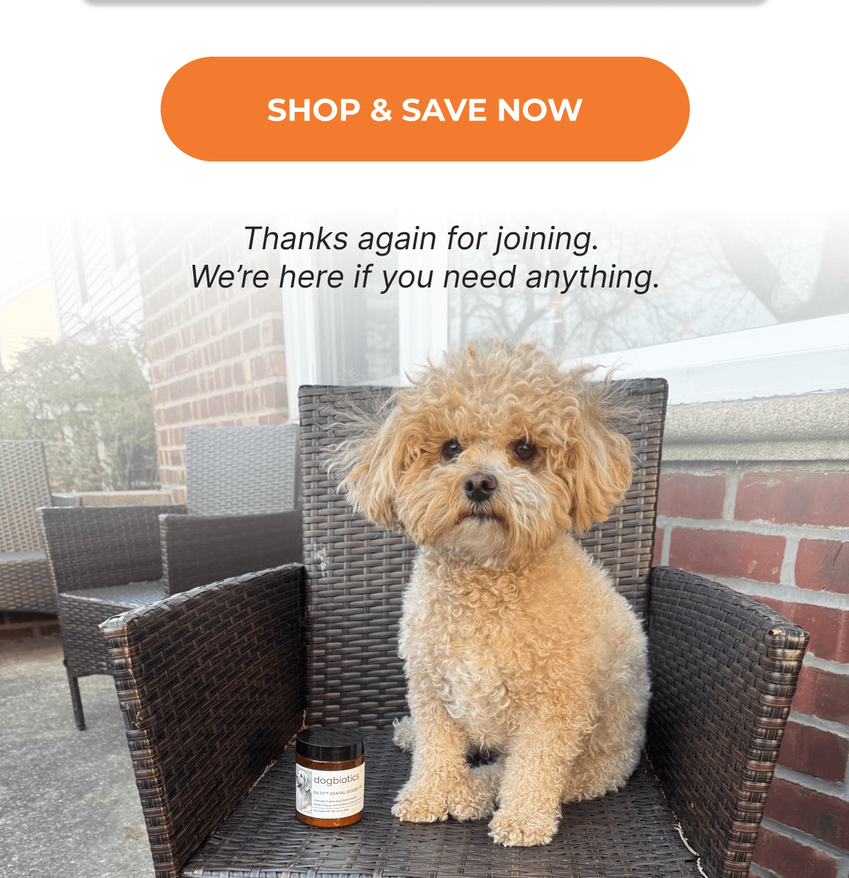 SHOP & SAVE NOW | Thanks again for joining.  We're here if you need anything.