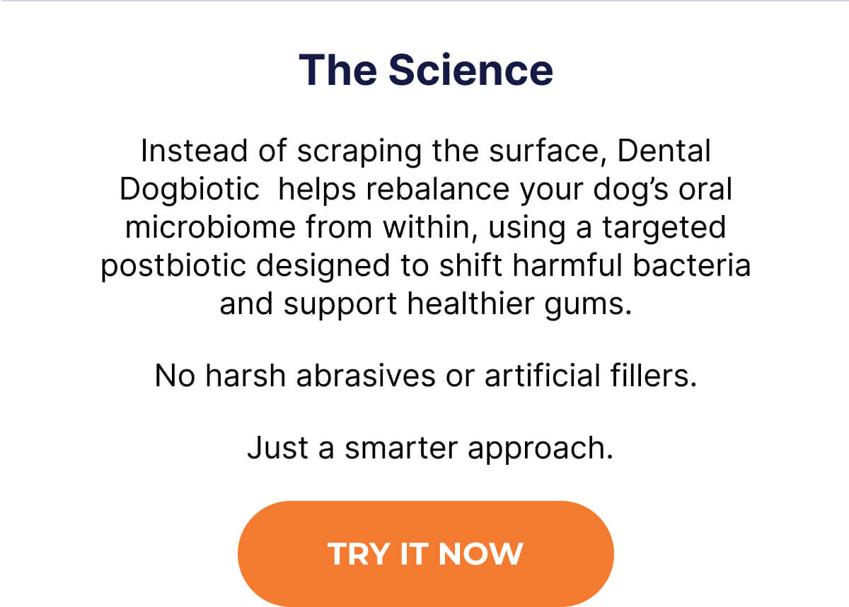 The Science Instead of scraping the surface, Dental Dogbiotic  helps rebalance your dog's oral microbiome from within, using a targeted postbiotic designed to shift harmful bacteria and support healthier gums. No harsh abrasives or artificial fillers.  Just a smarter approach. | TRY IT NOW
