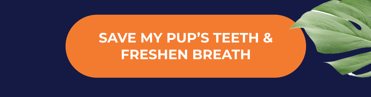 SAVE MY PUP'S TEETH & FRESHEN BREATH