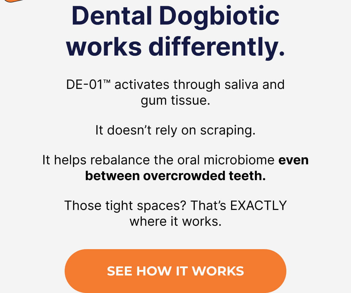 Dental Dogbiotic works differently. DE-01™ activates through saliva and gum tissue. It doesn't rely on scraping. It helps rebalance the oral microbiome even between overcrowded teeth. Those tight spaces? That's EXACTLY where it works. | SEE HOW IT WORKS