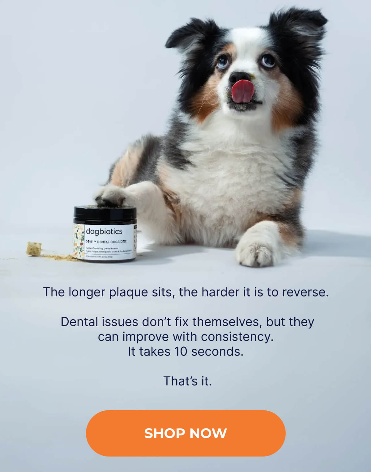 The longer plaque sits, the harder it is to reverse.   Dental issues don't fix themselves, but they can improve with consistency. It takes 10 seconds.   That's it. | SHOP NOW