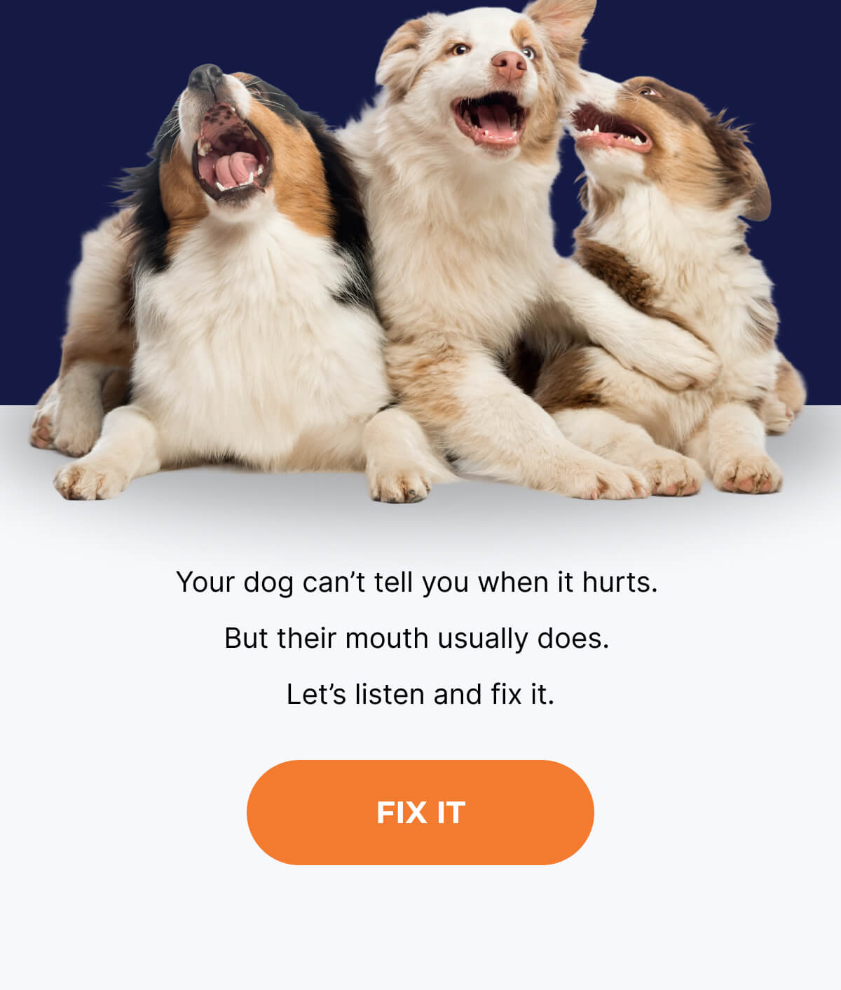 Your dog can't tell you when it hurts. But their mouth usually does. Let's listen and fix it. | FIX IT