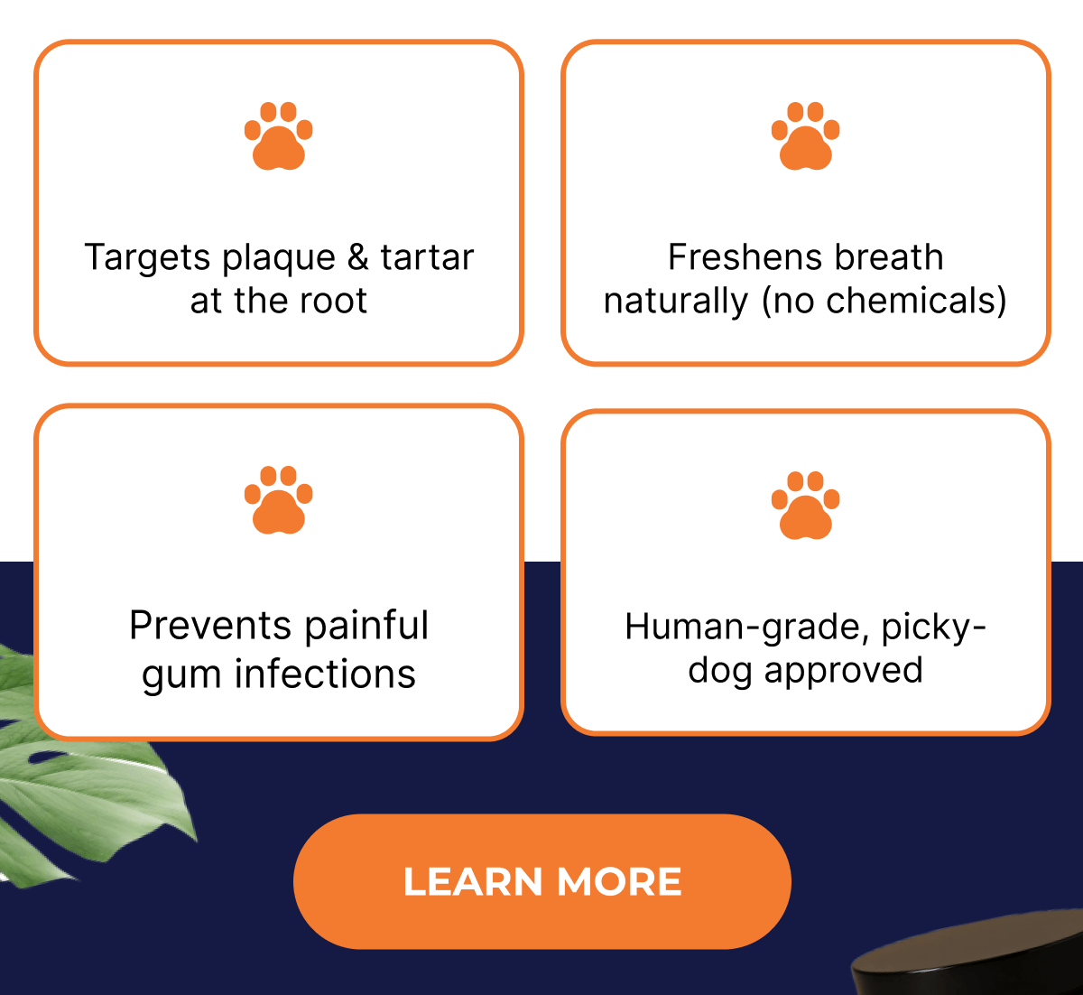 Targets plaque & tartar at the root  |  Freshens breath naturally (no chemicals) | Prevents painful gum infections  |  Human-grade, picky-dog approved | LEARN MORE