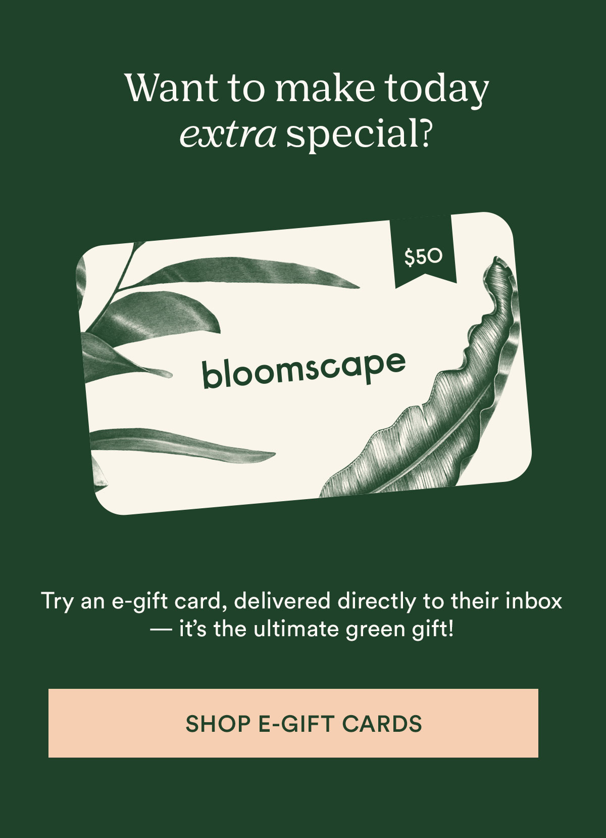 Shop e-gift cards