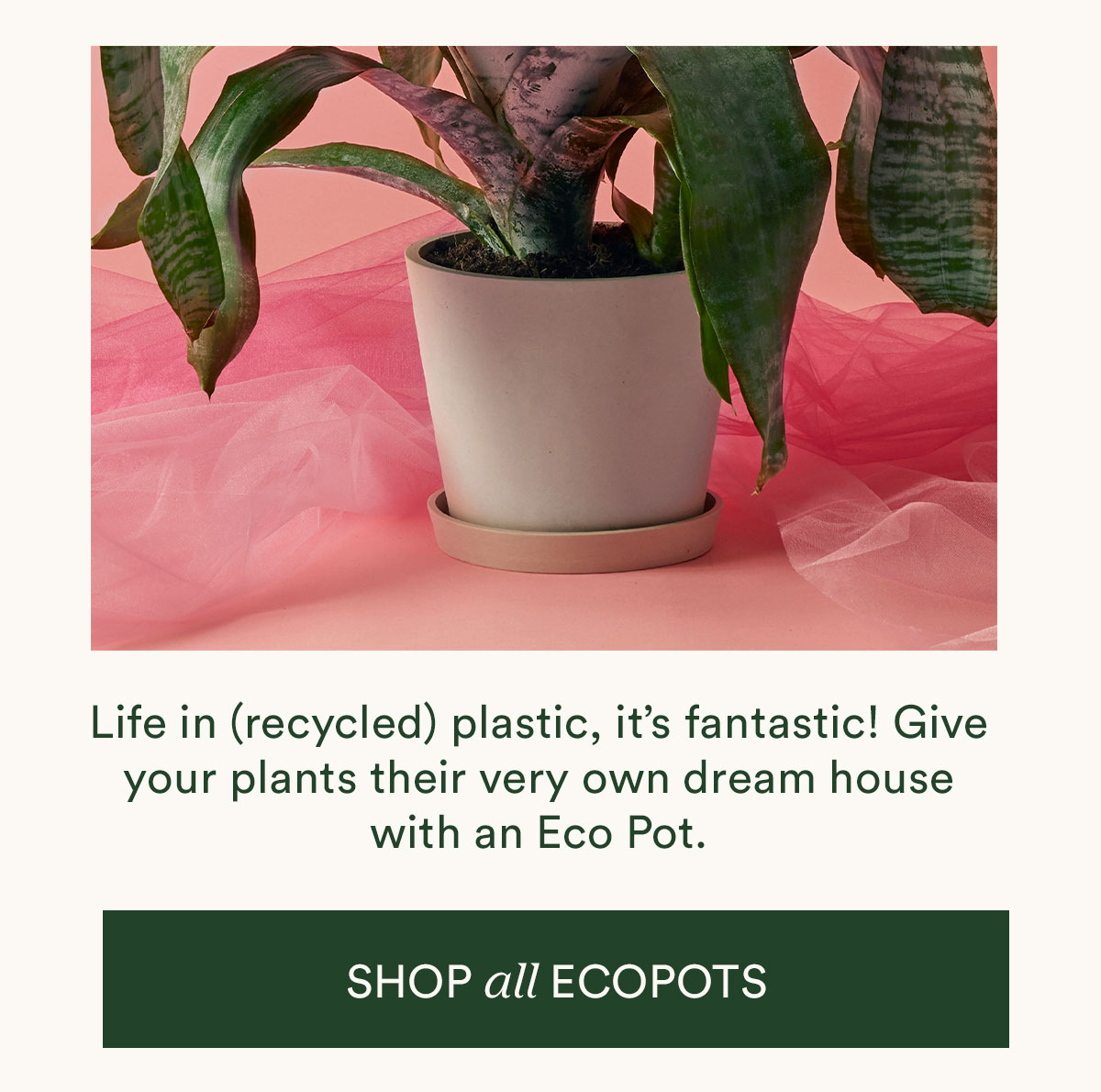 Shop Eco Pots