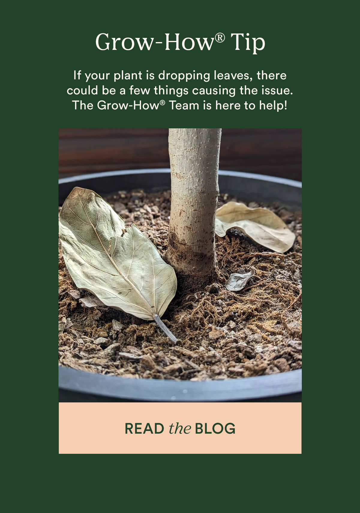 read the blog