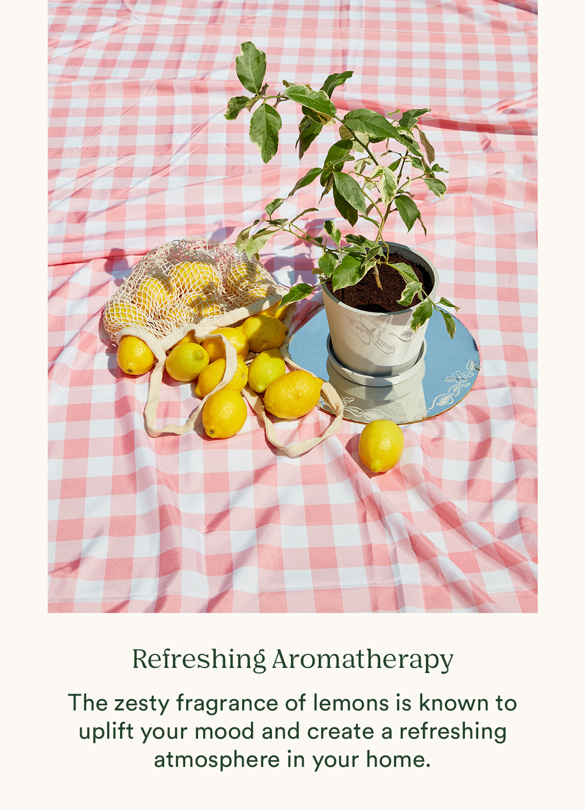 Refreshing Aromatherapy